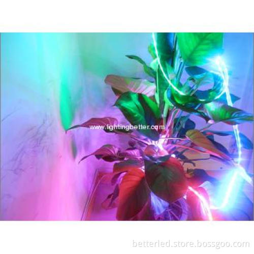 12mm 5050 30leds/m magic flexible rgb strip with remote DC 12V